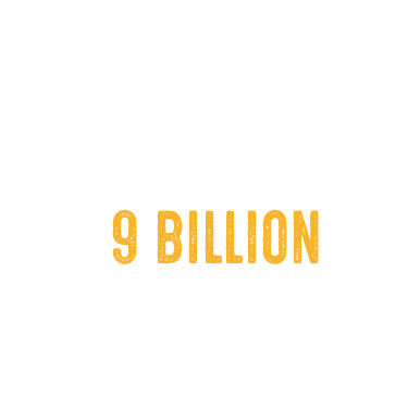 $8 billion annual egg production