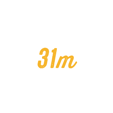 30m Chickens