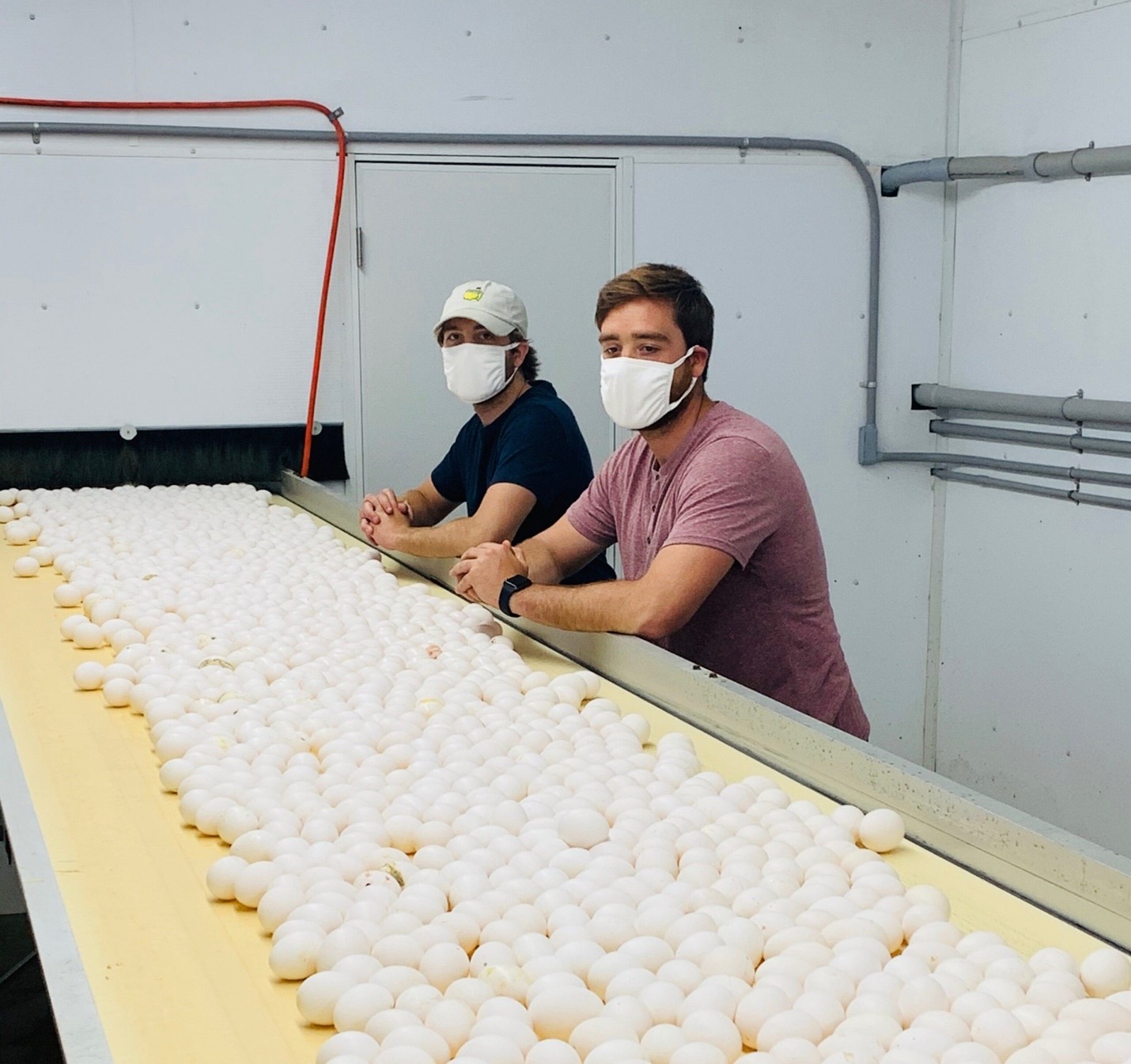 Ohio Egg Farmers Are Committed to Feeding Ohioans
